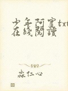 少年阿宾txt在线阅读