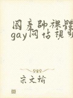 国产帅裸体男模gay网站视频