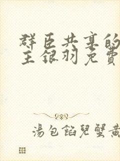 群臣共享的小公主银羽免费阅读