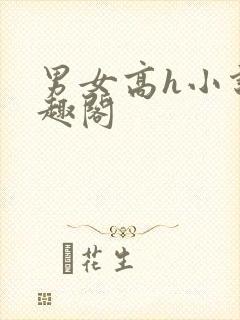 男女高h小说笔趣阁封面