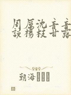 周厉沈音音的小说杨枝甘露笔趣阁