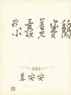 我看着你的时候小说免费阅读