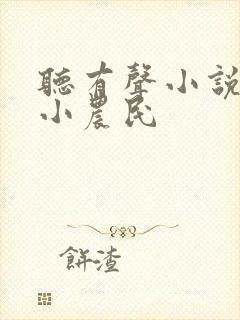 听有声小说至尊小农民