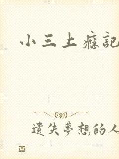 小三上瘾记封面