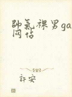 帅气裸男gay网站