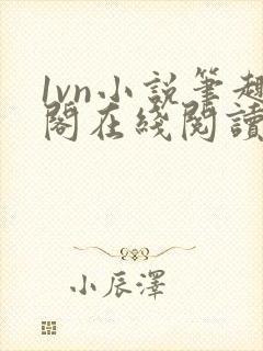 1vn小说笔趣阁在线阅读