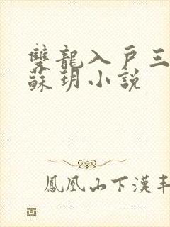 双龙入户三人行苏玥小说封面