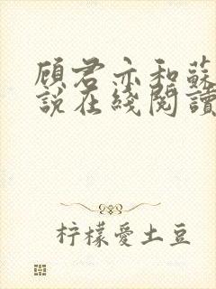 顾君亦和苏杳小说在线阅读