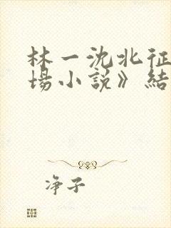 林一沈北征《官场小说》结局