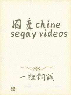 国产chinesegay videos