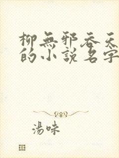 柳无邪吞天神鼎的小说名字封面