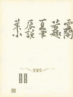 叶辰夏若雪孙怡小说笔趣阁封面