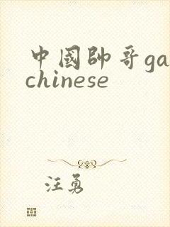 中国帅哥gaychinese