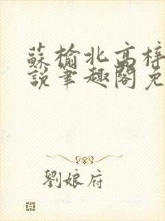 苏榆北高梓淇小说笔趣阁免费阅读封面