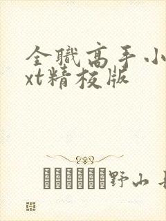 全职高手小说txt精校版封面