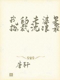 我的老婆是冰山总裁沈浪最新章节封面