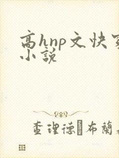 高hnp文快穿小说