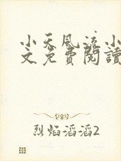 小天风流小说全文免费阅读无弹窗