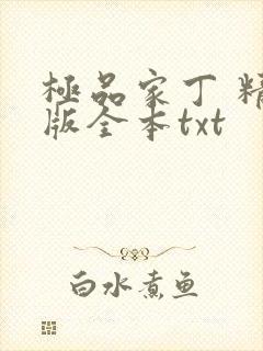 极品家丁 精校版全本txt
