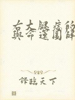 右大腿痣的位置与命运图解