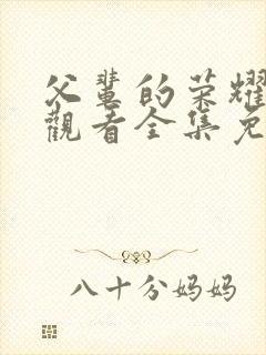 父辈的荣耀在线观看全集免费播放封面