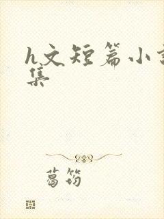 h文短篇小说合集