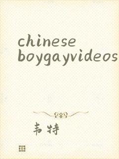 chineseboygayvideos封面