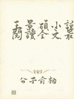 王景硕小说免费阅读全文最新章节