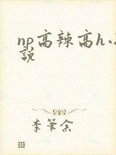np高辣高h小说封面