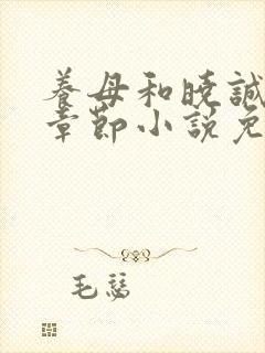 养母和晓诚全部章节小说免费阅读下