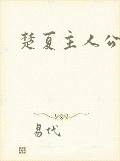 楚夏主人公小说