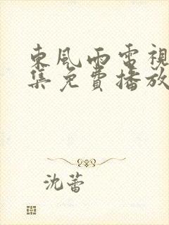 东风雨电视剧全集免费播放在线观看