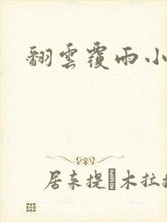 翻云覆雨小说封面