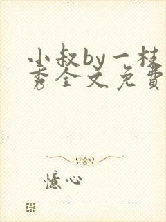 小叔by一枝独秀全文免费阅读笔趣阁最