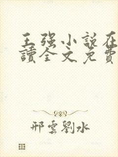 王强小说在线阅读全文免费