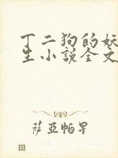 丁二狗的妖孽人生小说全文无删减