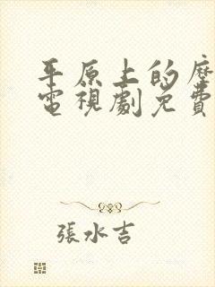 平原上的摩西 电视剧免费