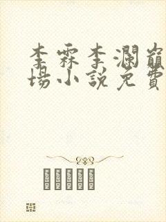 李霖李澜巅峰官场小说免费阅读