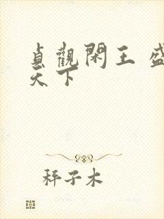 贞观闲王 盛世天下