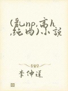 (乱np,高h,纯肉)小说封面