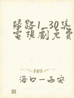 归路1_30集电视剧免费观看