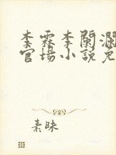 李霖李阑澜巅峰官场小说免费阅读