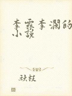 李霖李澜的官场小说