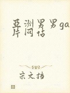 亚洲男男gay片网站