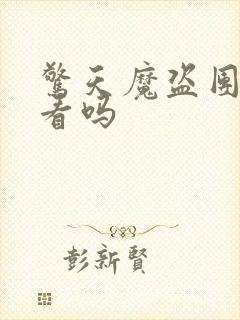 惊天魔盗团2好看吗