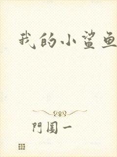 我的小鲨鱼