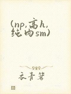 (np,高h,纯肉sm)