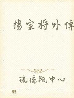 杨家将外传封面