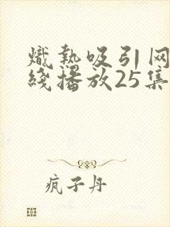 炽热吸引网剧在线播放25集免费观看