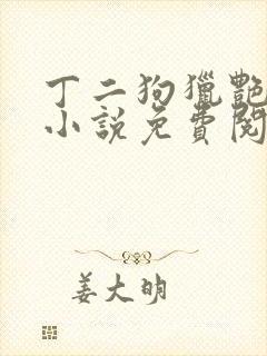 丁二狗猎艳人生小说免费阅读